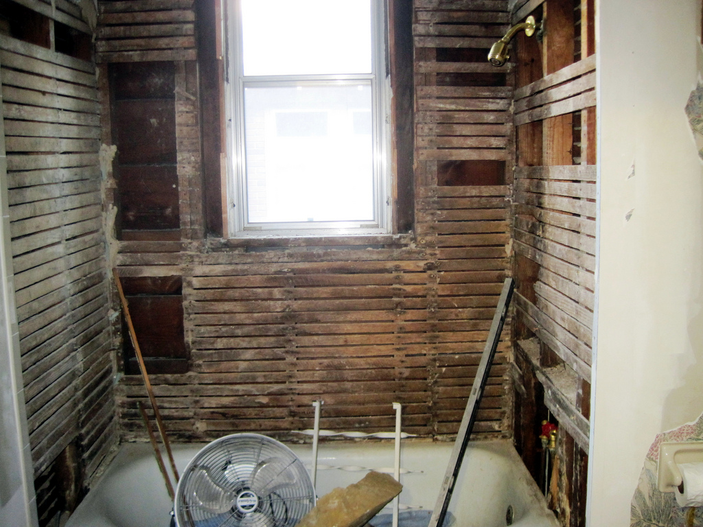 Bathroom Demolition (1)