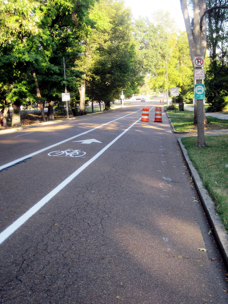 Bike Lanes North Parkway