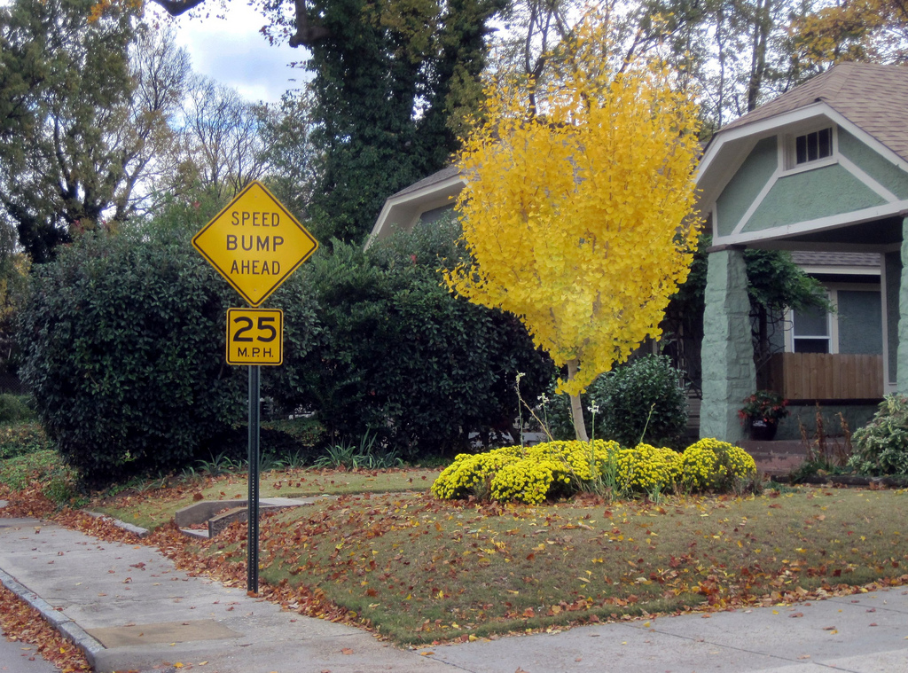 The Yellows of Autumn