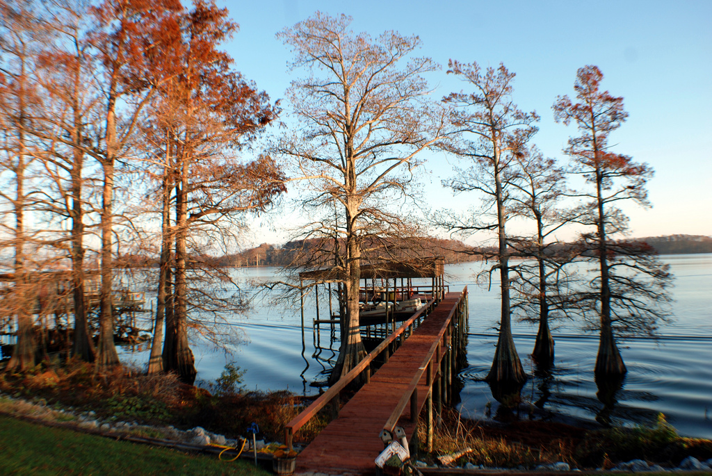 Horseshoe Lake